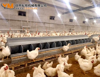 自動集蛋箱